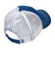 DT607_Royal_White