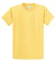 PC61T_Yellow