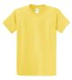 PC61_Yellow